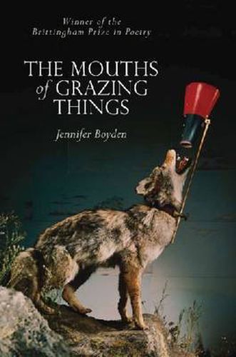 Cover image for THE MOUTHS OF GRAZING THINGS