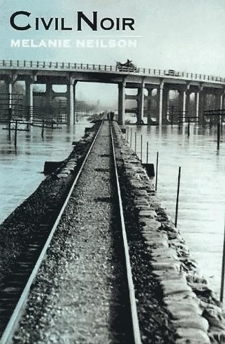 Cover image for Civil Noir