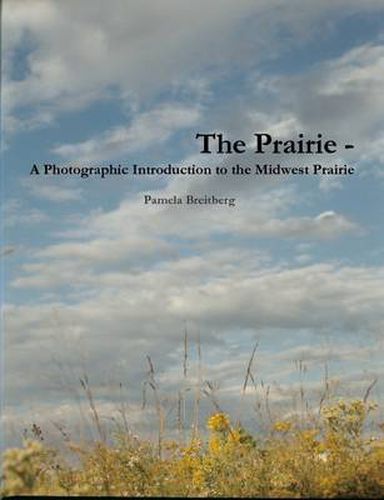 Cover image for The Prairie - A Photographic Introduction to the Midwest Prairie