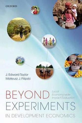 Cover image for Beyond Experiments in Development Economics: Local Economy-wide Impact Evaluation