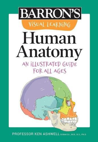 Cover image for Visual Learning: Human Anatomy: An Illustrated Guide for All Ages