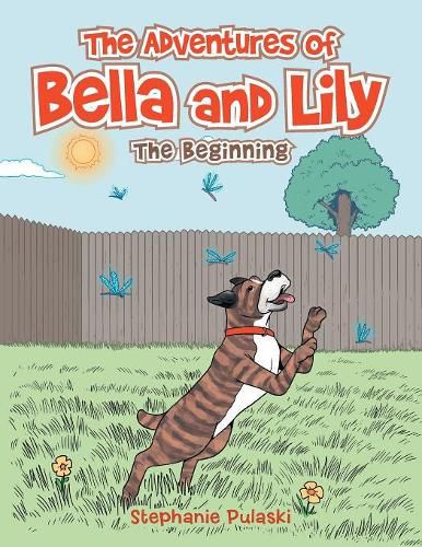 Cover image for The Adventures of Bella and Lily