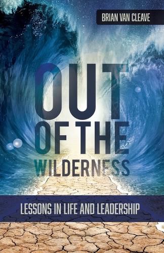 Cover image for Out of the Wilderness