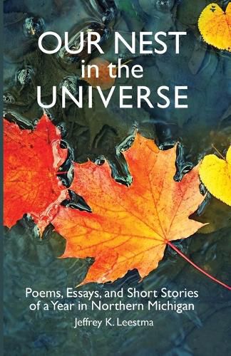 Cover image for Our Nest in the Universe