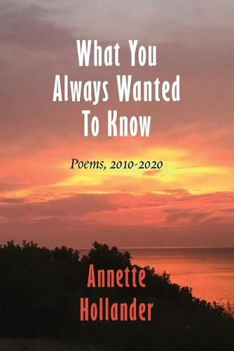 Cover image for What You Always Wanted To Know: Poems, 2010-2020