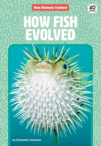 Cover image for How Fish Evolved