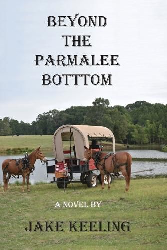 Cover image for Beyond the Parmalee Bottom