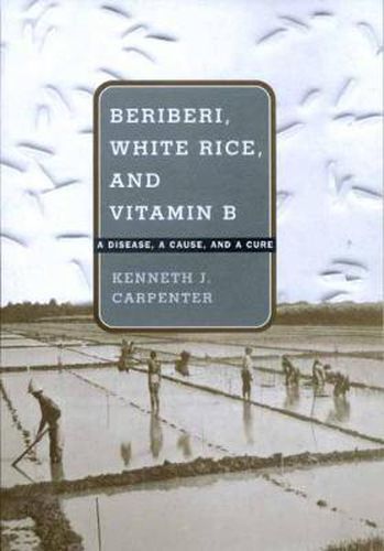 Beriberi, White Rice, and Vitamin B: A Disease, a Cause, and a Cure