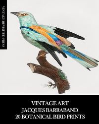 Cover image for Vintage Art: Jacques Barraband 20 Botanical Bird Prints