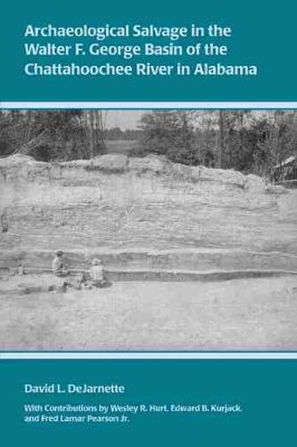 Cover image for Archaeological Salvage in the Walter F. George Basin of the Chattahoochee River