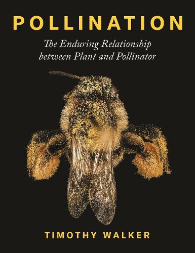 Cover image for Pollination: The Enduring Relationship between Plant and Pollinator