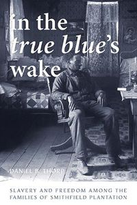 Cover image for In the True Blue's Wake: Slavery and Freedom among the Families of Smithfield Plantation