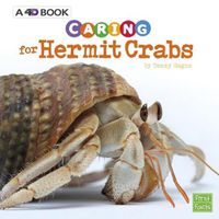 Cover image for Caring for Hermit Crabs: A 4D Book