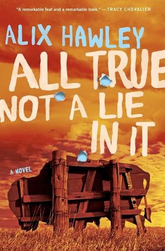 Cover image for All True Not a Lie in It