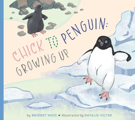 Cover image for Chick to Penguin: Growing Up