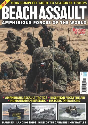 Cover image for Beach Assault