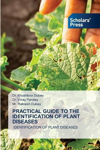 Cover image for Practical Guide to the Identification of Plant Diseases