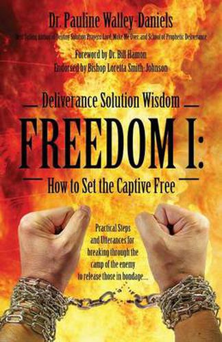 Cover image for Deliverance Solution Wisdom - Freedom I: How to Set the Captive Free - Practical Steps and Utterances for Breaking Through the Camp of the Enemy to Re