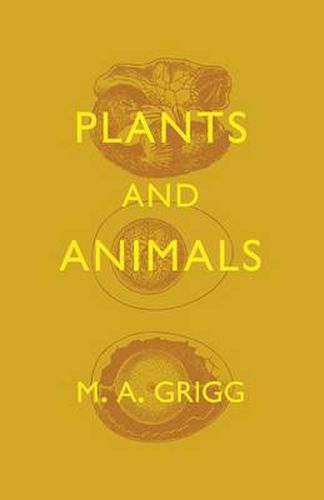 Cover image for Plants and Animals