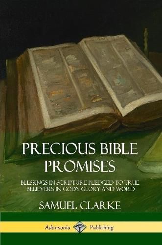 Cover image for Precious Bible Promises