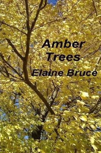 Cover image for Amber Trees