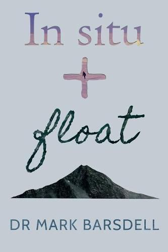 Cover image for In Situ and Float