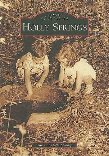 Cover image for Holly Springs