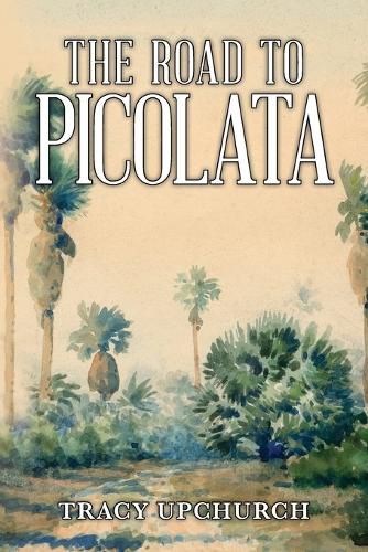 Cover image for The Road to Picolata