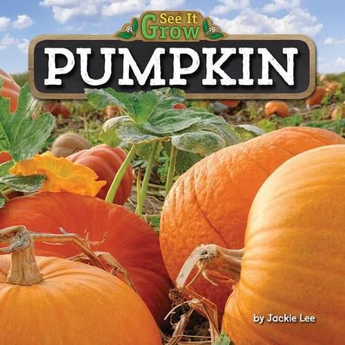 Cover image for Pumpkin