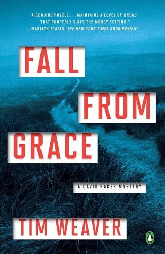 Fall from Grace: A David Raker Mystery