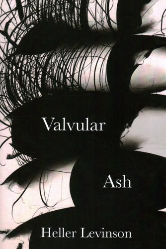 Valvular Ash