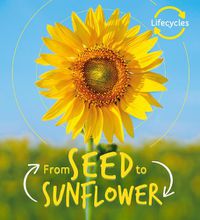 Cover image for Lifecycles: Seed to Sunflower