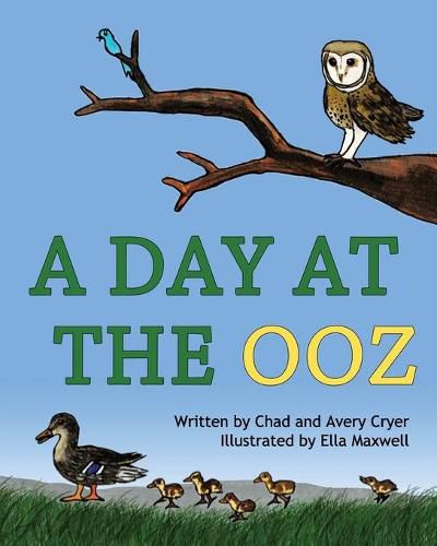 Cover image for A Day at the OOZ