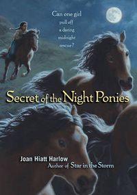 Cover image for Secret of the Night Ponies