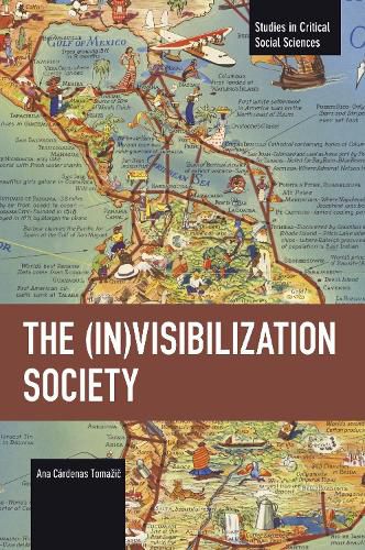 Cover image for The (In)Visibilization Society