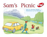 Cover image for Sam's Picnic