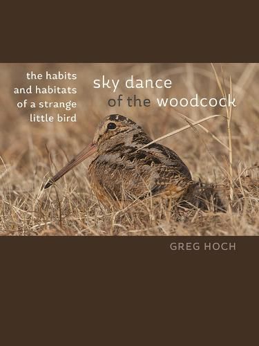 Cover image for Sky Dance of the Woodcock: The Habits and Habitats of a Strange Little Bird