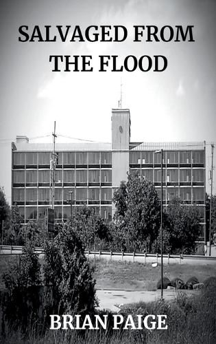Cover image for Salvaged From the Flood