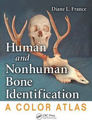 Cover image for Human and Nonhuman Bone Identification: A Color Atlas