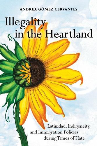 Cover image for Illegality in the Heartland