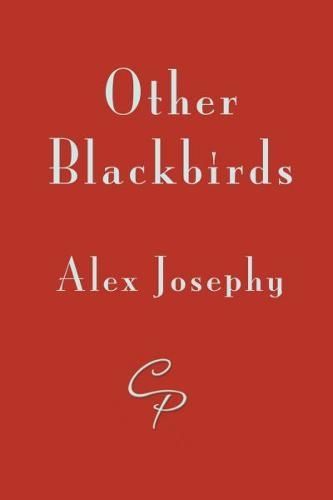 Cover image for Other Blackbirds