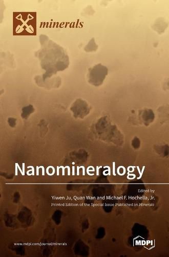 Cover image for Nanomineralogy