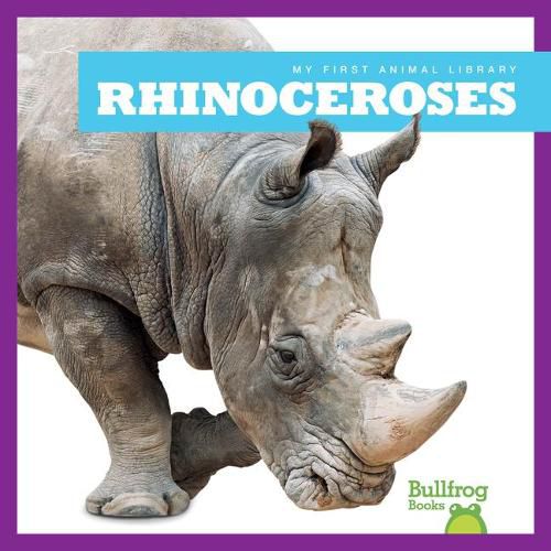 Cover image for Rhinoceroses