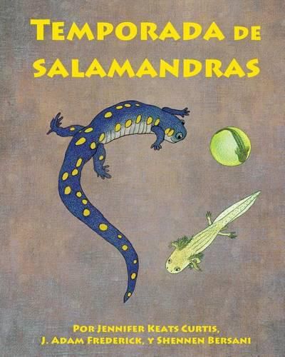 Temporada de Salamandras (Salamander Season)