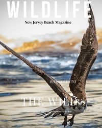 Cover image for New Jersey Beach Magazine Wildlife 2024