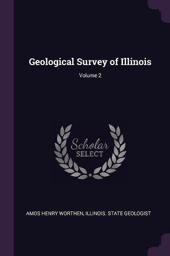 Cover image for Geological Survey of Illinois; Volume 2