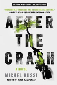 Cover image for After the Crash