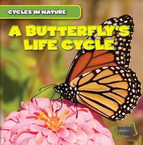 Cover image for A Butterfly's Life Cycle