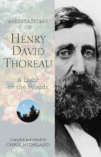 Cover image for Meditations of Henry David Thoreau: A Light in the Woods