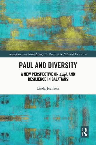 Cover image for Paul and Diversity